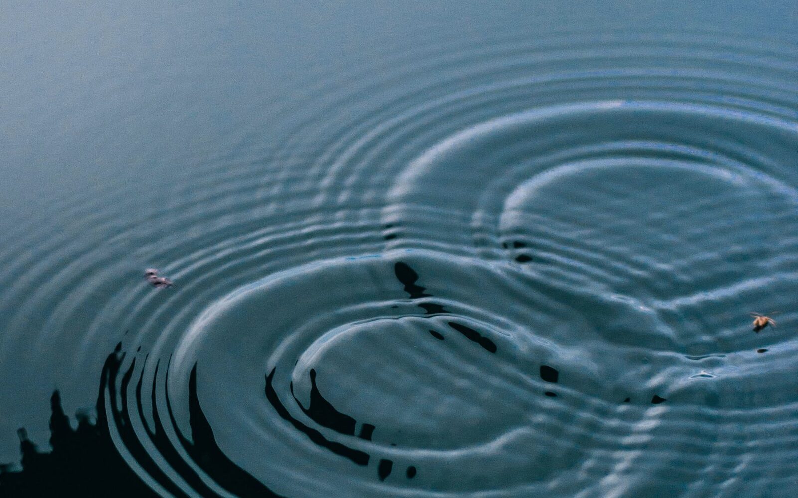 Ondes concentriques à la surface d'une eau calme, image de l'attention qui se resserre