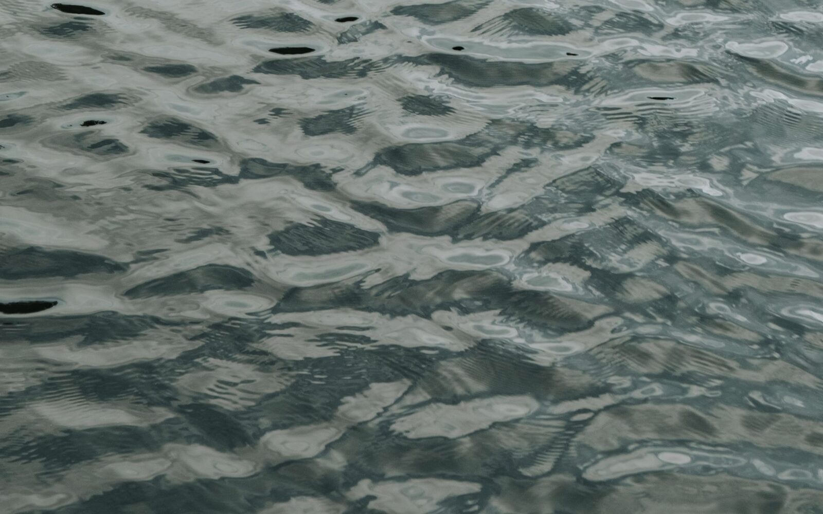 Surface d'eau calme aux reflets vert-gris